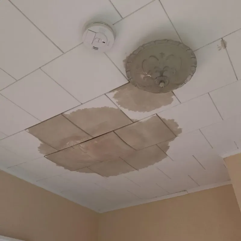 Ceiling Water Damage Repair in Long Beach, MS