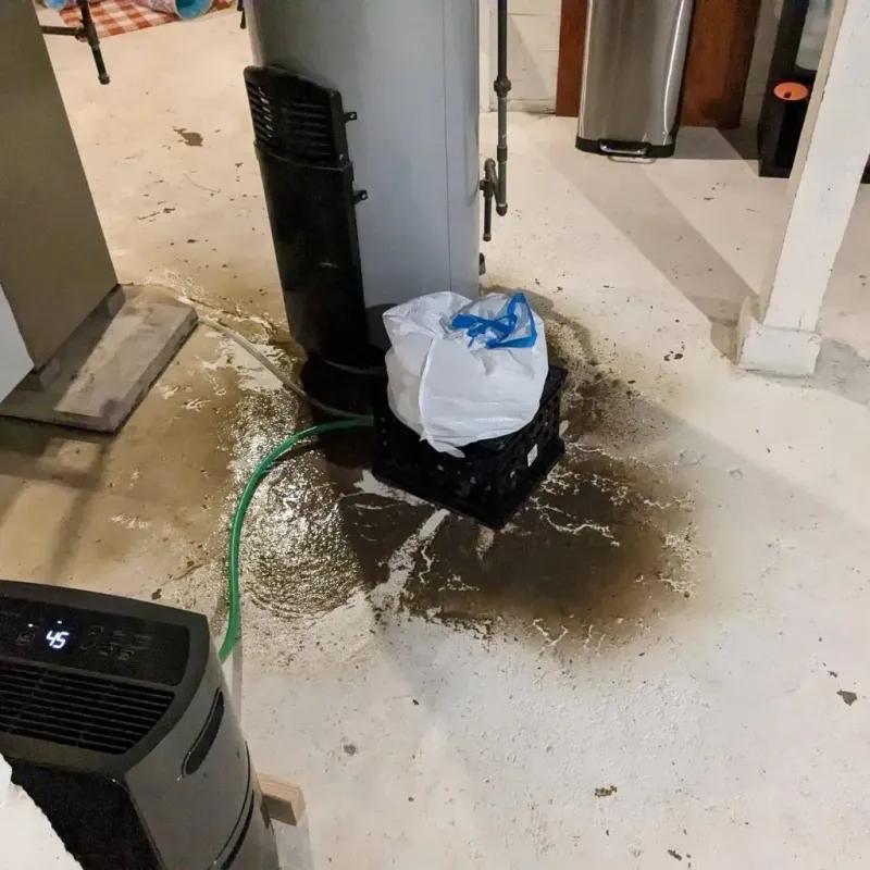 Sewage Backup Cleanup Service in Long Beach, MS